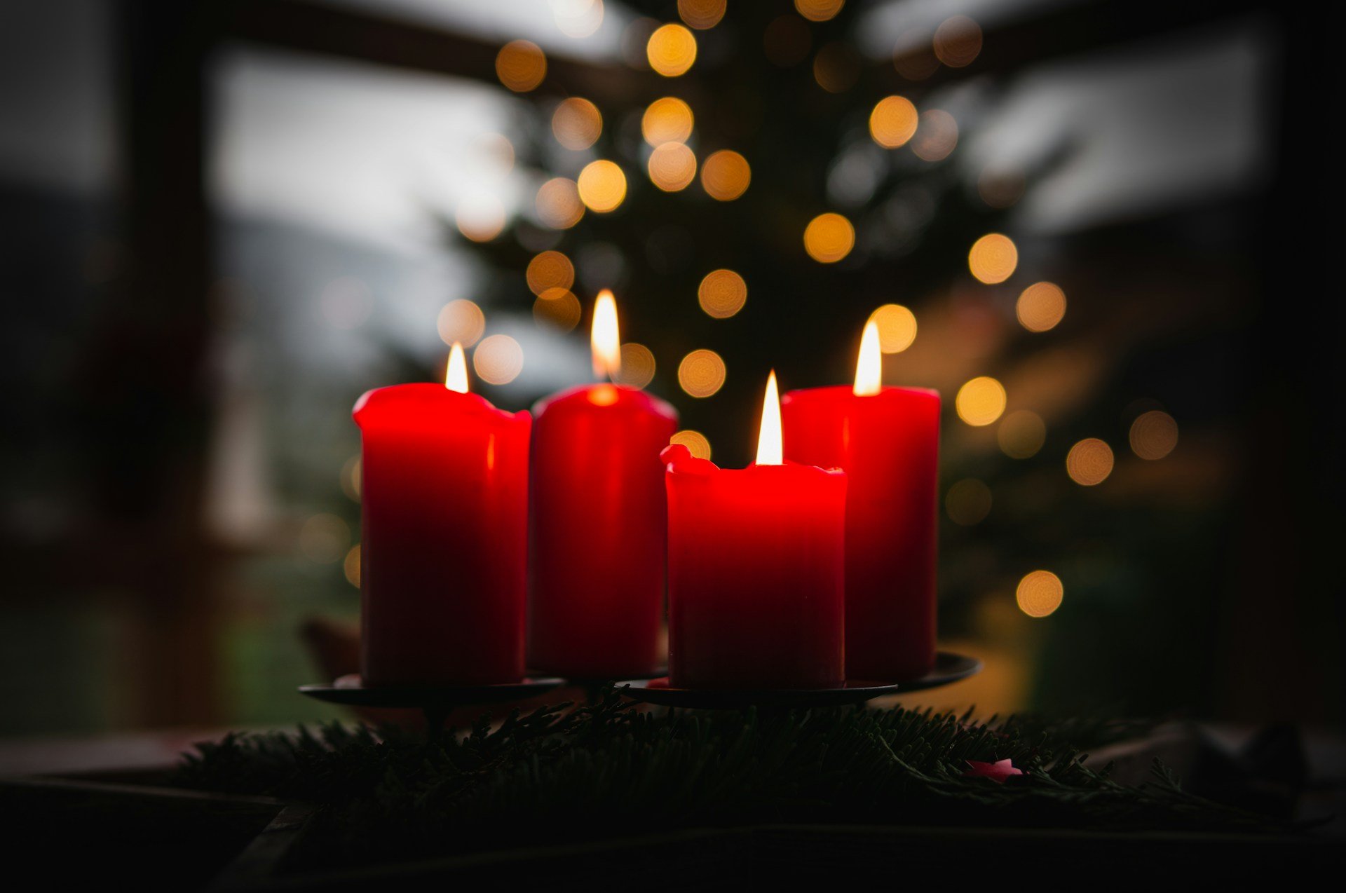 Season's Greetings from TAL Global
