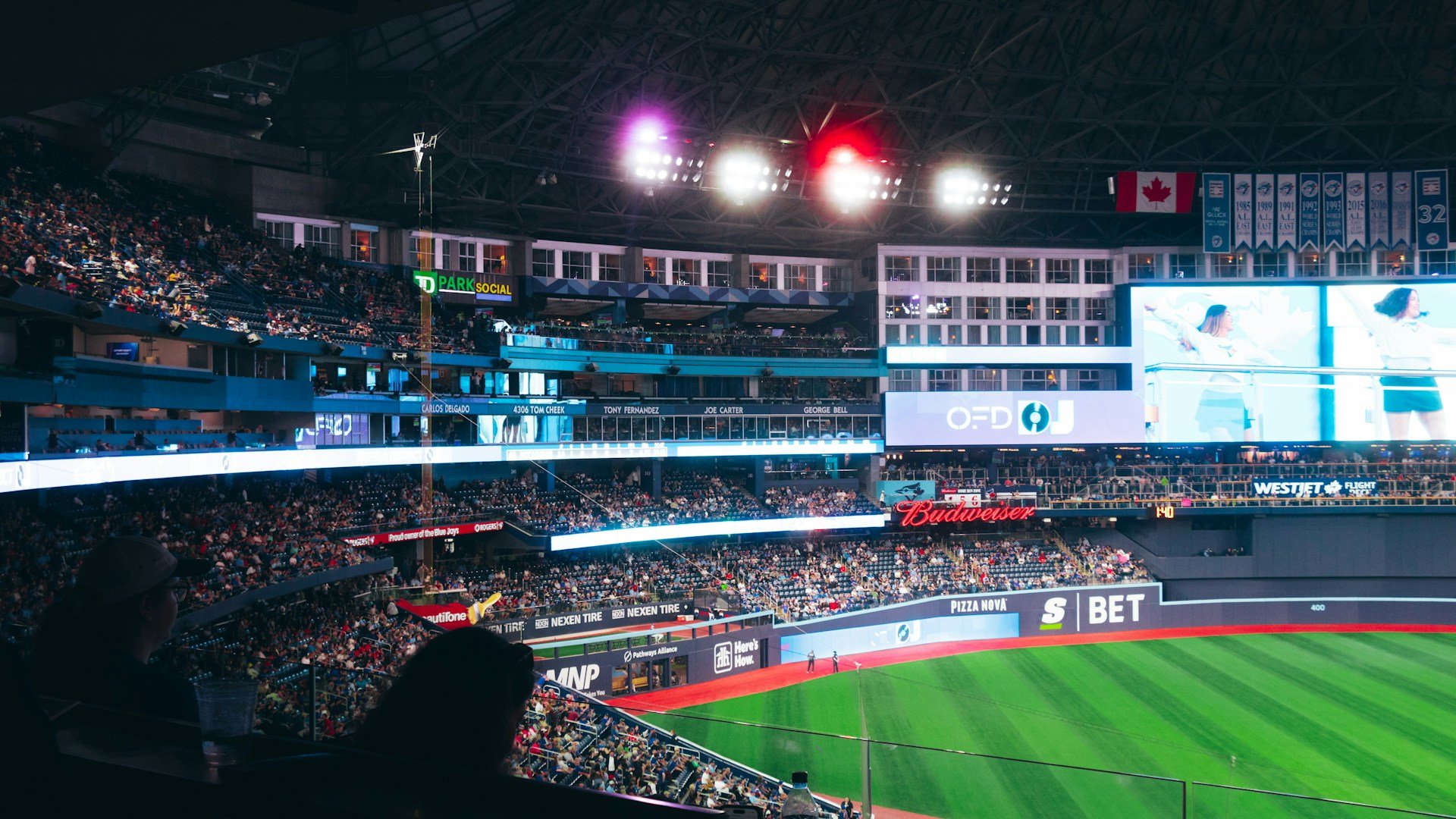 The Baseball Karen Effect: Stadium Security in the Age of Viral Social Media and Crowd Risk